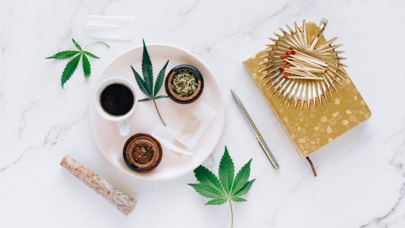 Prague Cannabis Tourism Guide