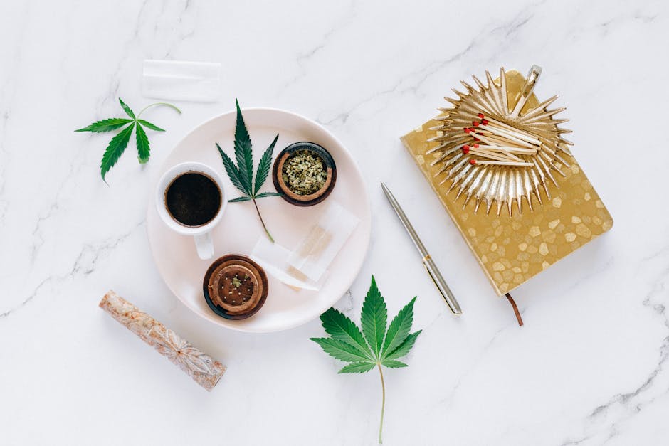Prague Cannabis Tourism Guide