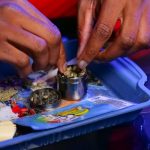 Cannabis Delivery Prague img-1067.jpg