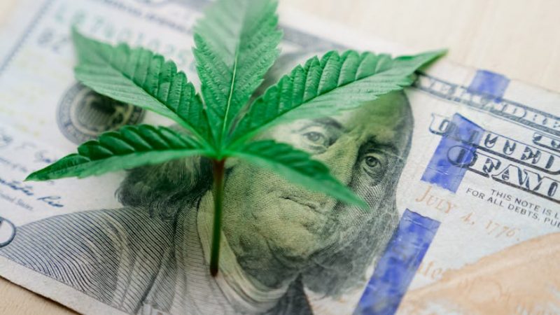 Discover the Best THC Vapes in the Heart of Prague
