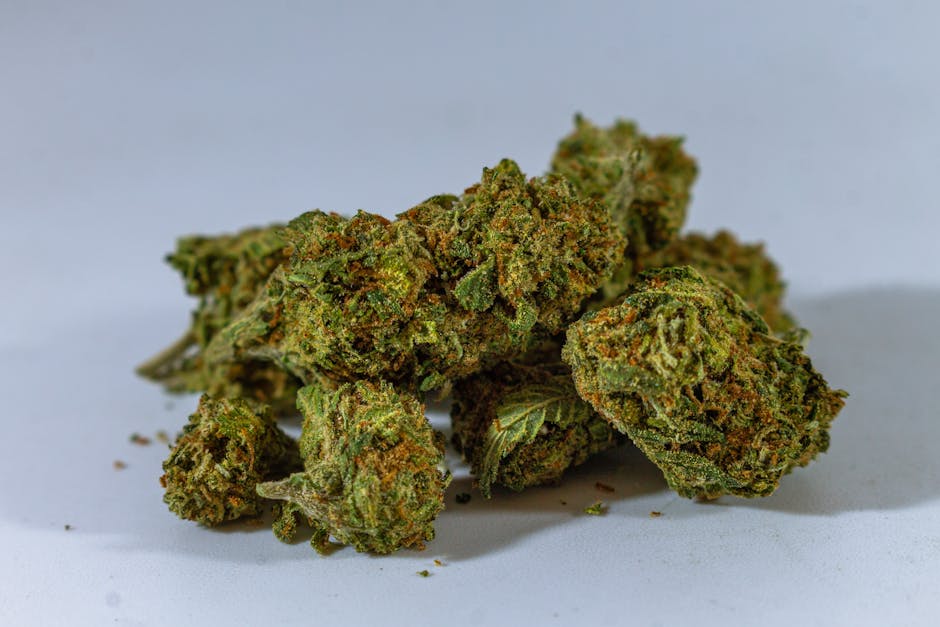 Welcome to the ultimate guide for exploring the THC joint menu in Prague