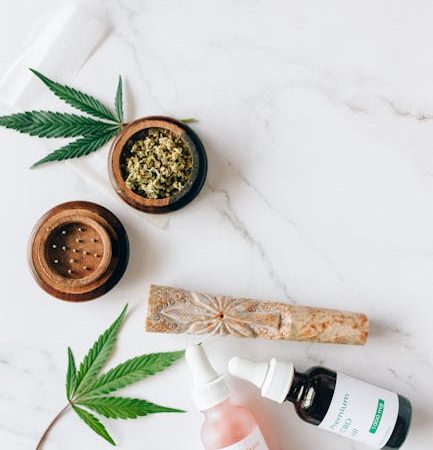 Prague is rapidly becoming a hub for hemp gastronomy
