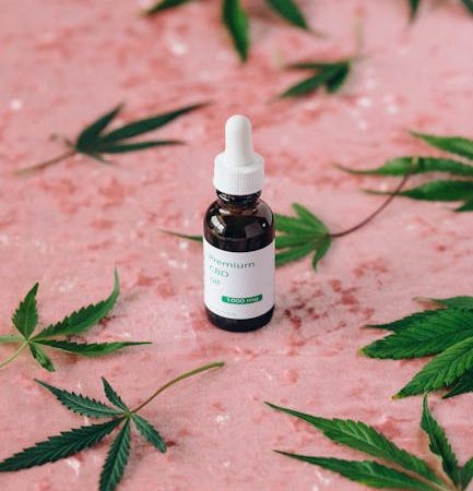 Prague cannabis delivery service