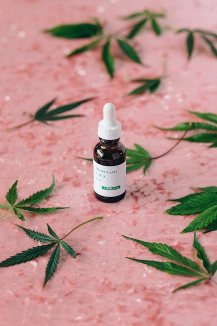 Prague cannabis delivery service