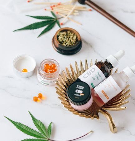 Welcome to Prague’s premier destination for premium cannabis‑infused treats