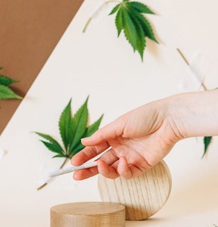 Looking for high‑quality THC joints, rolling papers, and all the accessories you need to enjoy cannabis in the heart of Prague?