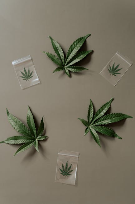 Buy THC Vapes in Prague