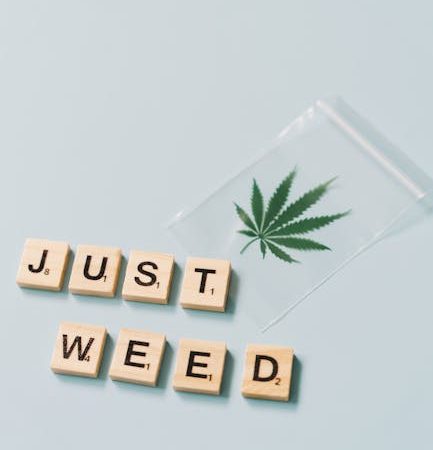 Prague Hemp Delivery Service