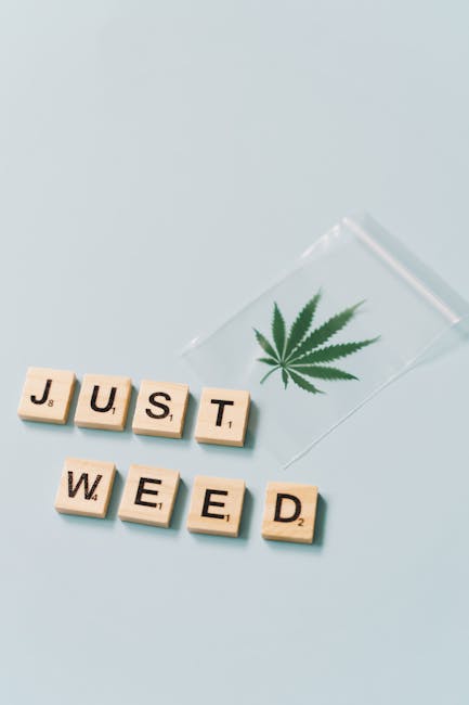 Prague Hemp Delivery Service