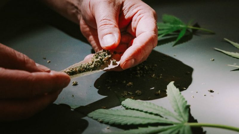 Fast and Reliable Hemp Delivery in Prague
