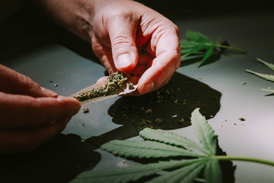 Fast and Reliable Hemp Delivery in Prague