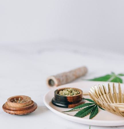 Looking for a reliable, fast, and discreet cannabis delivery Prague service?