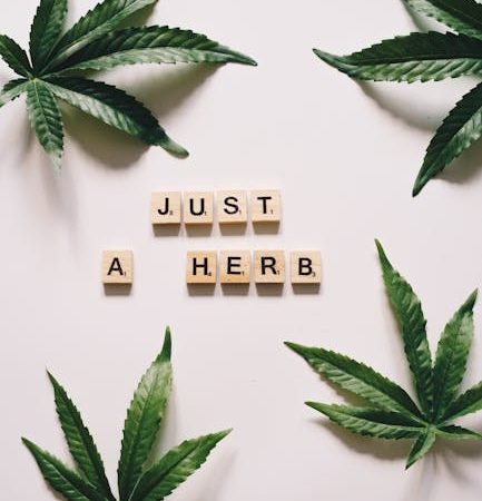 Prague’s Premier Destination for High‑Quality THC Vape Products, Cannabis, and Hemp