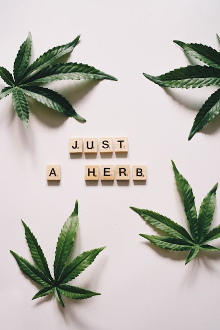 Prague’s Premier Destination for High‑Quality THC Vape Products, Cannabis, and Hemp