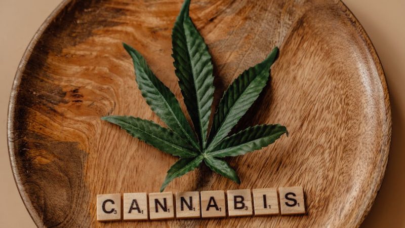 Hemp Shop Prague Your Trusted Source for High Quality Hemp and Cannabis
