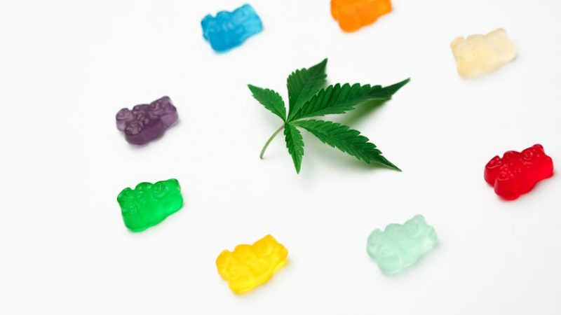 Prague Cannabis Prices 2024: A Comprehensive Guide