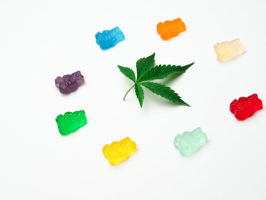 Prague Cannabis Prices 2024: A Comprehensive Guide