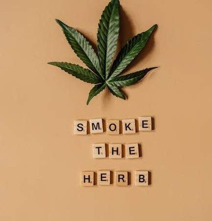 Welcome to Prague’s premier cannabis dispensary