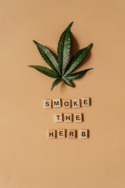 Welcome to Prague’s premier cannabis dispensary