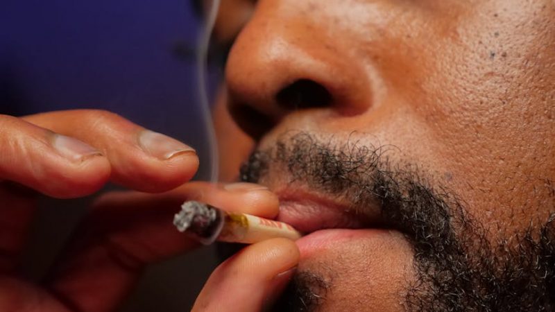 Buy Cannabis Online in Prague: A Complete Guide to Legal, High‑Quality Products