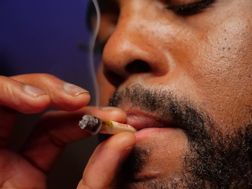 Buy Cannabis Online in Prague: A Complete Guide to Legal, High‑Quality Products