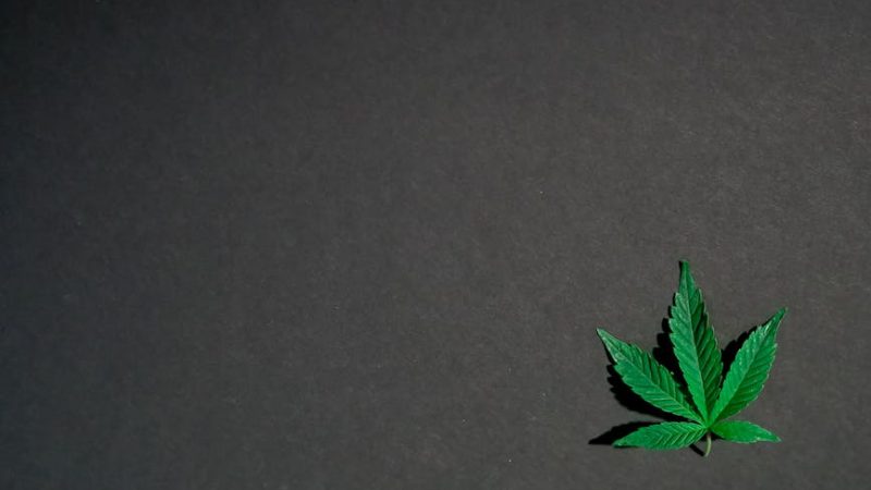 Welcome to the heart of Prague’s cannabis scene – a boutique dispensary tucked into the cobblestone lanes of Old Town