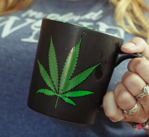 Ultimate Destination for THC Vape Lovers in Prague