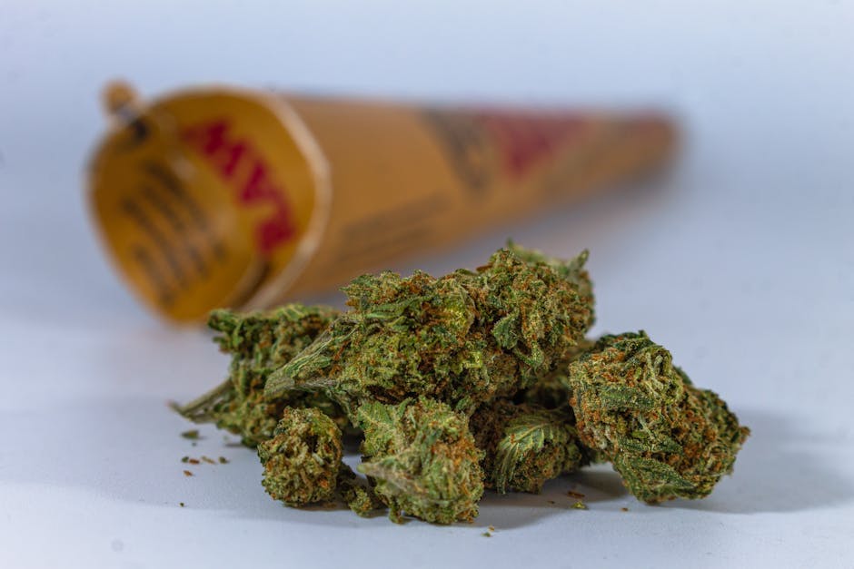 Prague Hemp Shop: High-Quality Hemp and Cannabis Goods