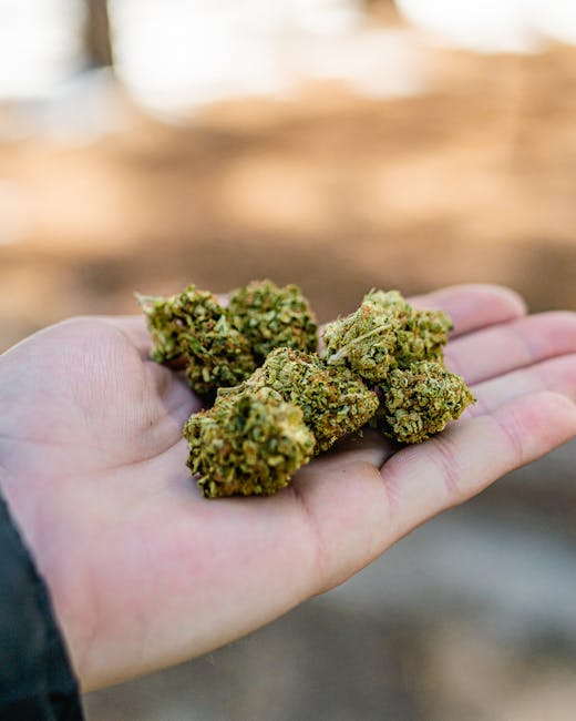 Prague weed delivery
