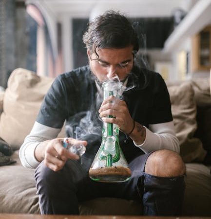 Welcome to the premier hemp shop online shop in Prague