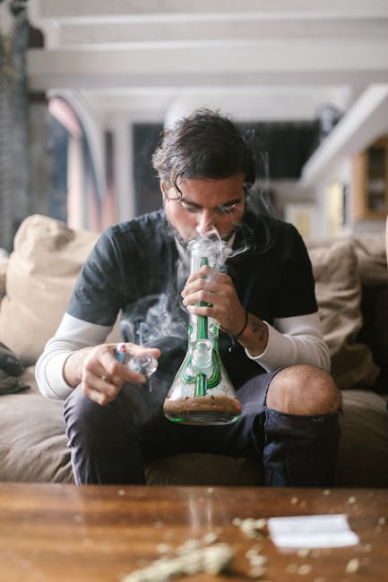 Welcome to the premier hemp shop online shop in Prague