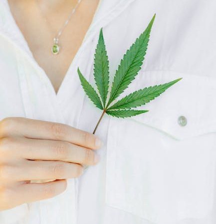 Prague is not only a city of stunning architecture and rich history; it’s also becoming a vibrant hub for cannabis enthusiasts