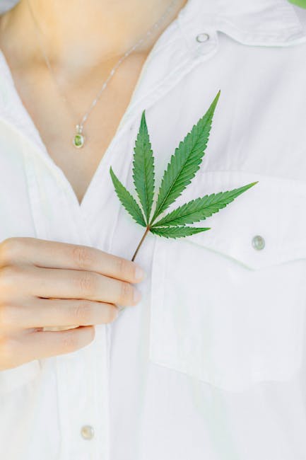 Prague is not only a city of stunning architecture and rich history; it’s also becoming a vibrant hub for cannabis enthusiasts