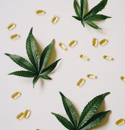 Welcome to the heart of Prague’s boutique cannabis scene