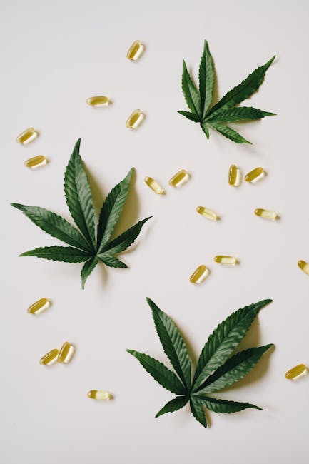 Welcome to the heart of Prague’s boutique cannabis scene