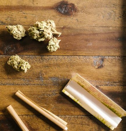 Prague’s Premier Destination for High‑Quality Cannabis, Marijuana, Hemp, and All‑Things‑THC