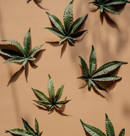 Prague THC Joint Scene Top Strains and Where to Buy