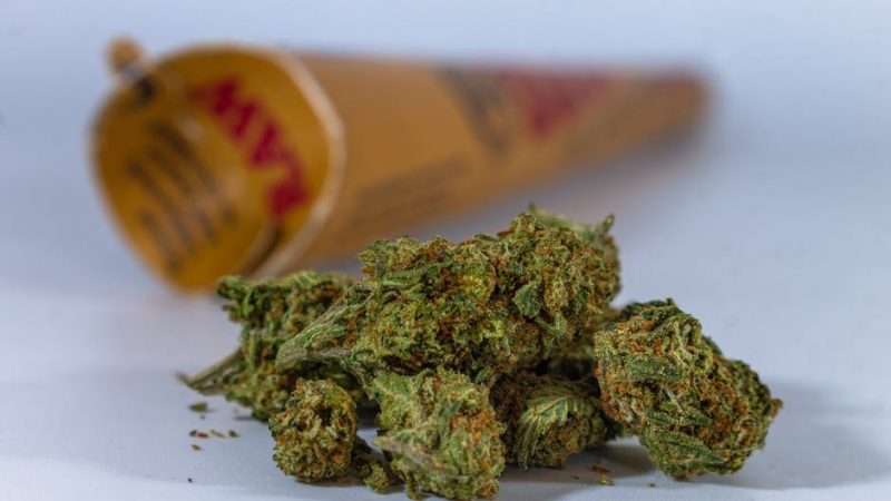 Online Hemp Store in Prague