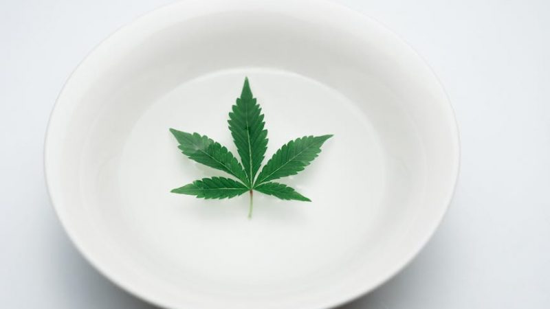 Looking for the finest THC joints in the heart of Prague?