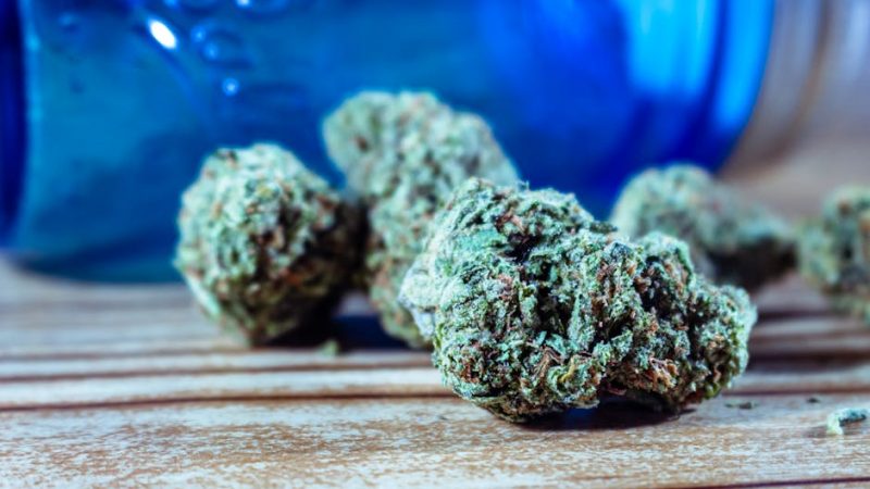 Prague Cannabis Tourism – A New Experience