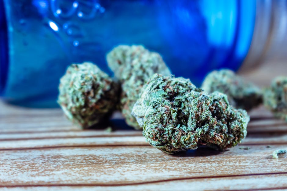 Prague Cannabis Tourism – A New Experience
