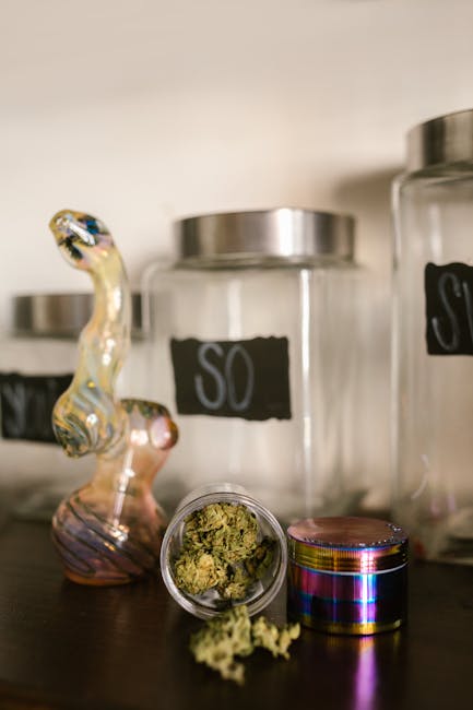 Prague is rapidly becoming one of Europe’s most vibrant cannabis destinations