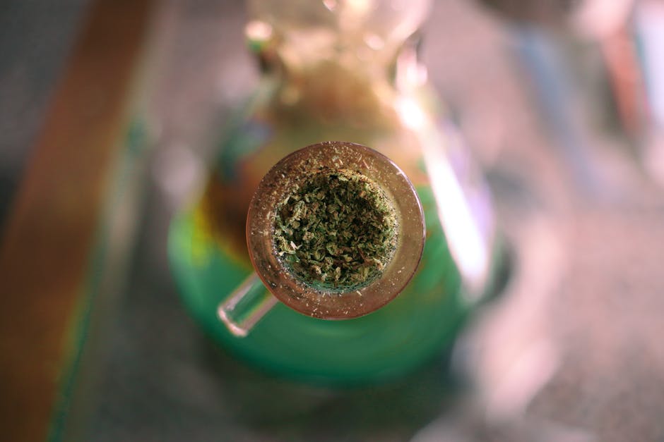 Prague has become a hub for both medicinal and recreational cannabis enthusiasts