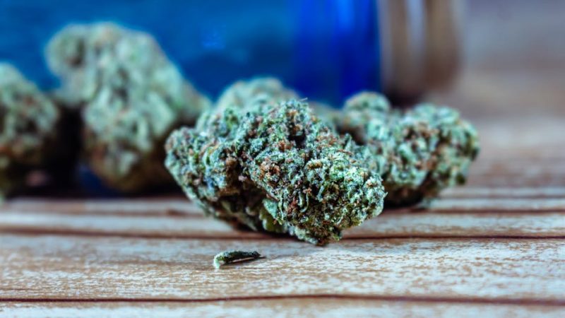 Welcome to Prague’s premier online cannabis shop
