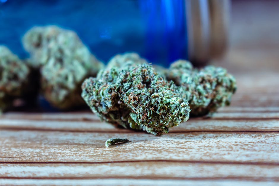 Welcome to Prague’s premier online cannabis shop