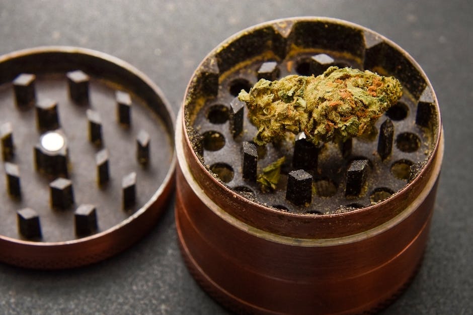 Looking for a reliable, licensed dispensary in Prague that offers a wide range of cannabis products?