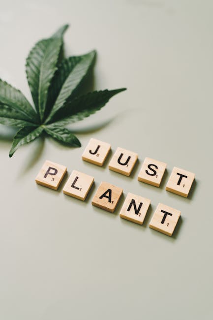 Hemp Shop Prague – The Most Trusted Hemp Store in New Town