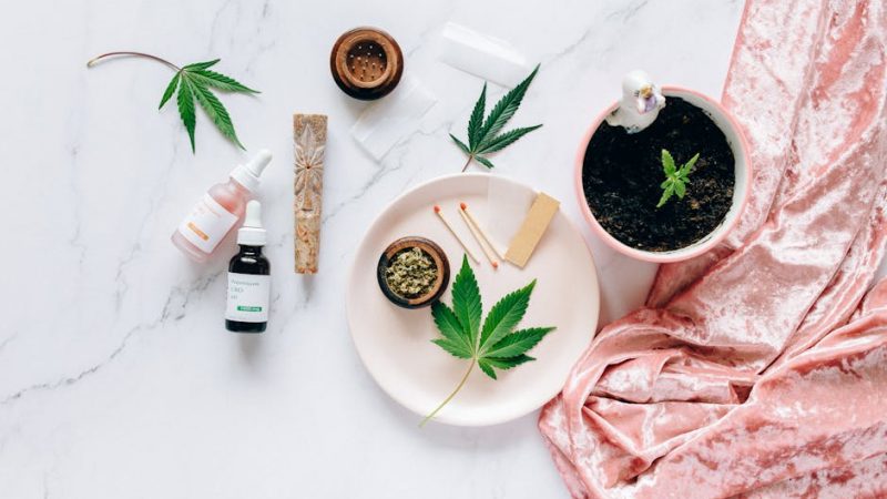 Looking for the best THC chocolate experience in the heart of Prague?