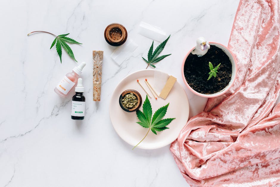 Looking for the best THC chocolate experience in the heart of Prague?