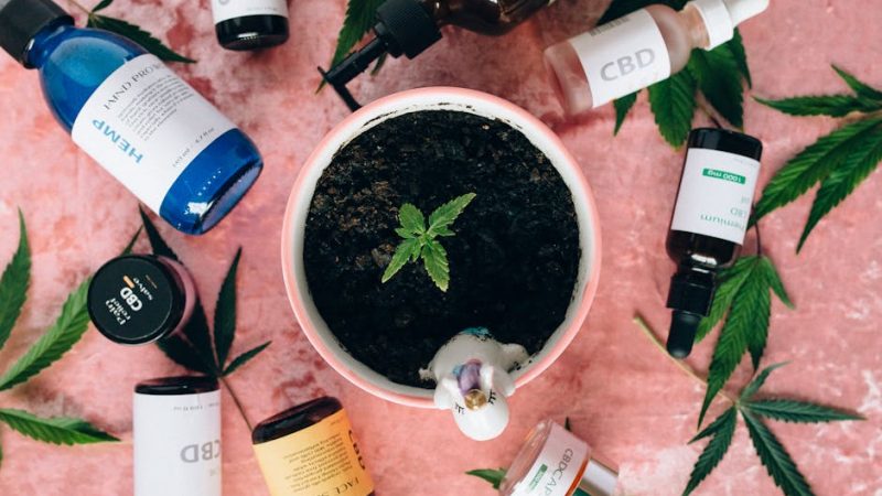 Vape Shop Prague: Premium THC, CBD, and E‑Liquid Products
